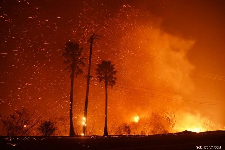 The Deadliest U.S. Wildfires Since the 1990s: Causes, Impact, and Lessons Learned