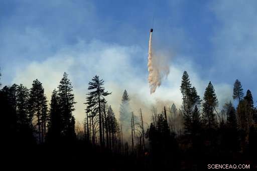 The Camp Fire: California Wildfire Claims Lives, Leaves Tragic Legacy