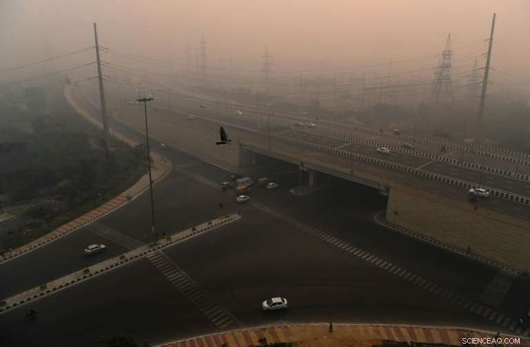 Delhi Authorities to Distribute Protective Masks to Homeless Amid Escalating Smog