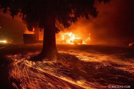 Scientists Reveal Wind and Drought, Not Management Failures, Drive California Wildfires