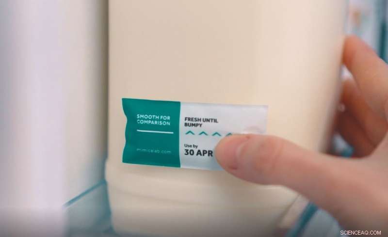 Scientists Develop Spoilage‑Tracking Labels to Reduce Food Waste