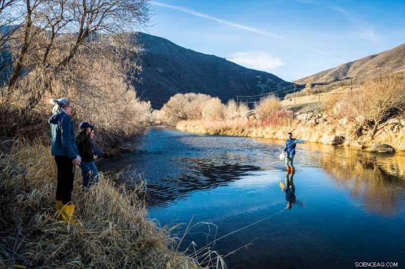 Carbon Moves With Water Flow: New Research Reveals Floods  Role