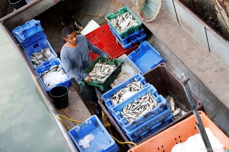 Shrinking Sea of Galilee Sparks Hope for Miraculous Recovery