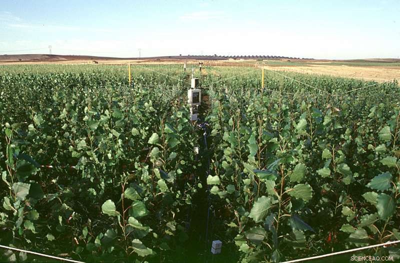 Leveraging Legacy Plant Genetics to Predict Climate Change Impact