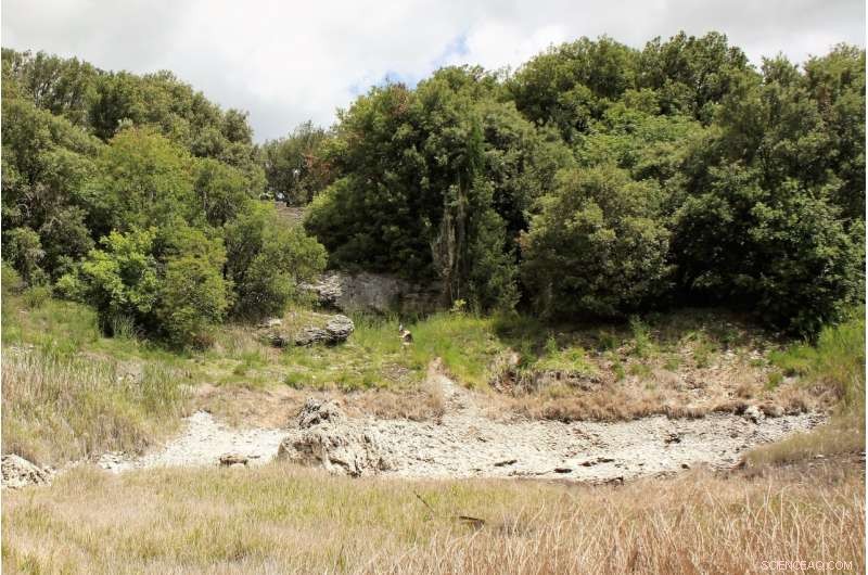 Leveraging Legacy Plant Genetics to Predict Climate Change Impact