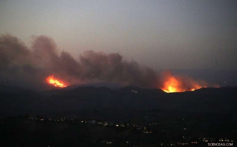 California Fires: The Bitter Cost of Escalating Wildfires