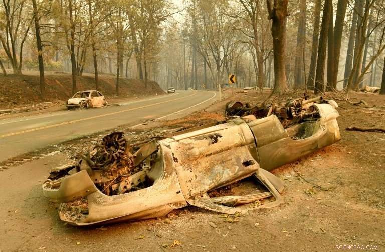 Brad Weldon: A Hero Who Fought Wildfires to Protect Paradise, California