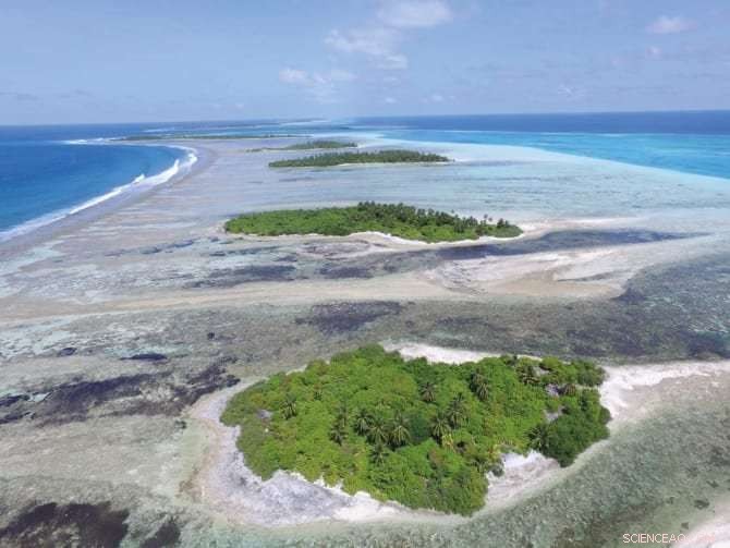 Rising Sea Levels May Build, Not Destroy, Coral Reef Islands—New Study Shows