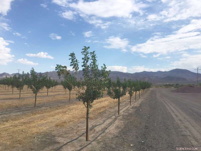 California Farmers Gain Advanced Insight into Groundwater Resources with Updated Regulations and Cutting-Edge Technology