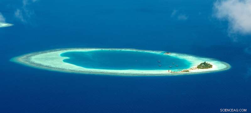 Could Climate Change Raise Maldives  Coral Islands? The Risks Still Loom