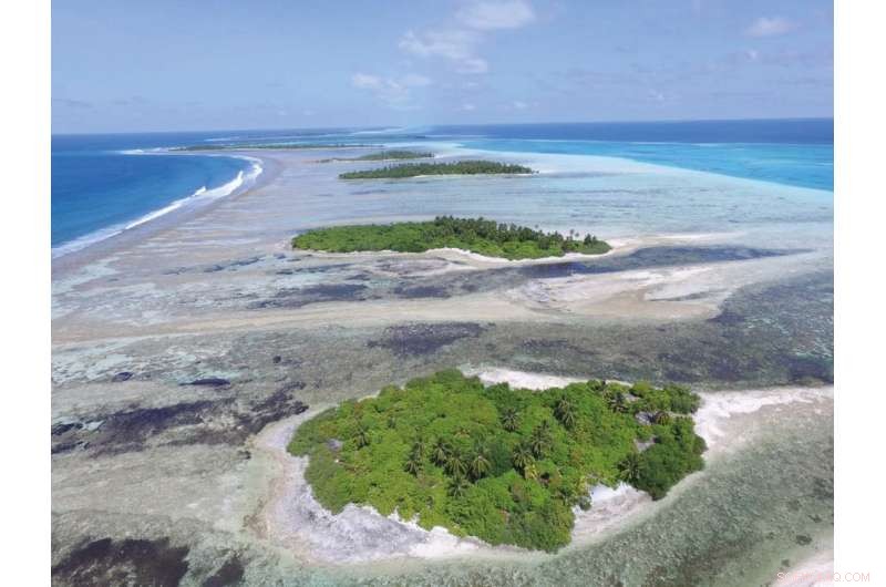 Could Climate Change Raise Maldives  Coral Islands? The Risks Still Loom