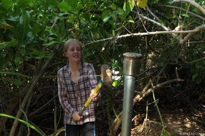 Could Climate Change Raise Maldives  Coral Islands? The Risks Still Loom