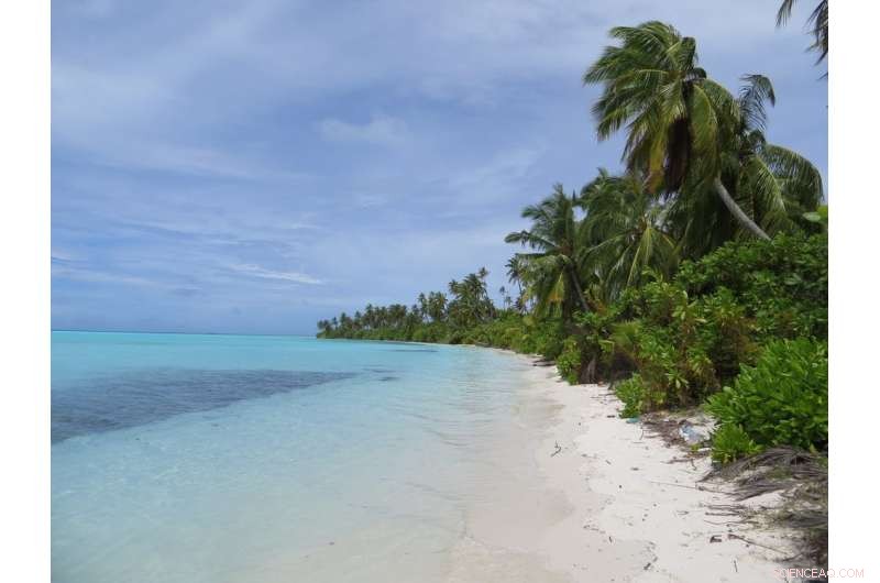 Could Climate Change Raise Maldives  Coral Islands? The Risks Still Loom