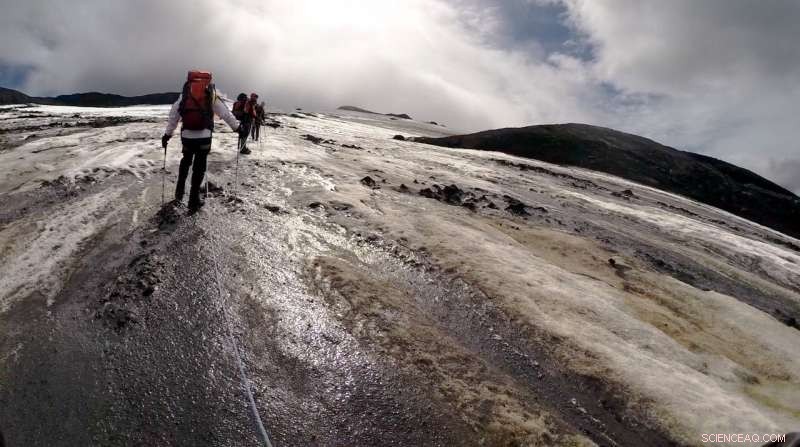 Earth s Volcanoes: Key to Unveiling Life’s Evolution and the Solar System’s History