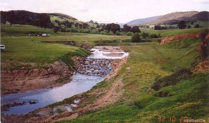 Natural Sequence Farming: Why It’s Capturing Global Attention