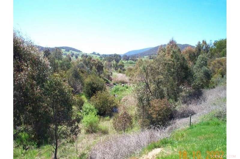 Natural Sequence Farming: Why It’s Capturing Global Attention