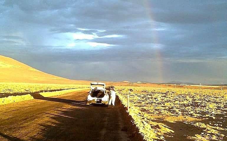 Rain in the Atacama Desert Turns Life into Death