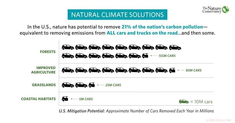 US Study Finds Natural Solutions Can Significantly Cut Global Warming