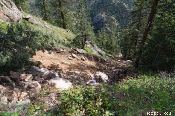 How Weather and Climate Shape Earth’s Life‑Sustaining Surface