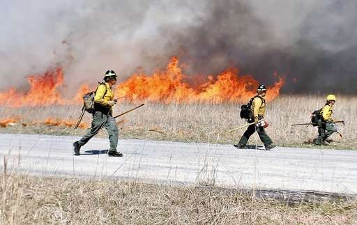 Experts Explore Strategies to Significantly Increase Wildfire Survival Rates