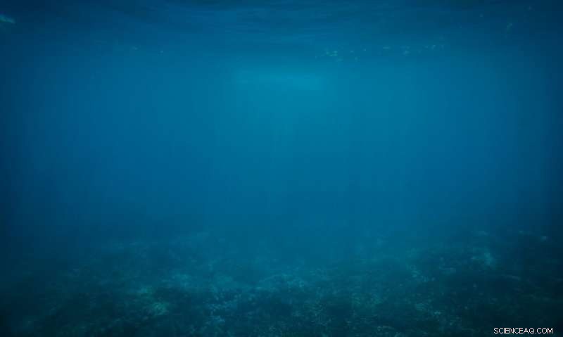 Seismic Study Reveals Oceanic Plate Collisions Transport Vast Amounts of Water Deep into Earth s Interior