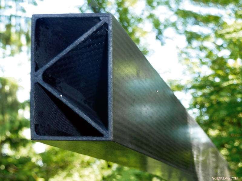 Harnessing Algae to Sustainably Lower Atmospheric CO₂ Levels