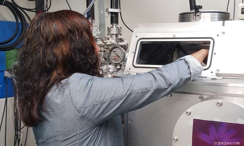 Uncovering Soil Health: How Researchers Reveal Key Supportive Processes