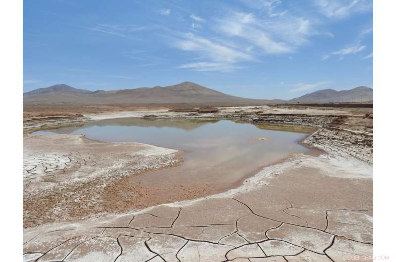 Centuries-Long Dry Spell Breaks as First Atacama Desert Rainfalls Disrupt Microbial Ecosystems