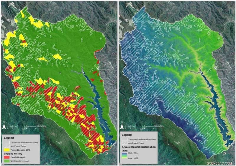 Urgent Call to Cease Logging in Melbourne’s Largest Water Catchment