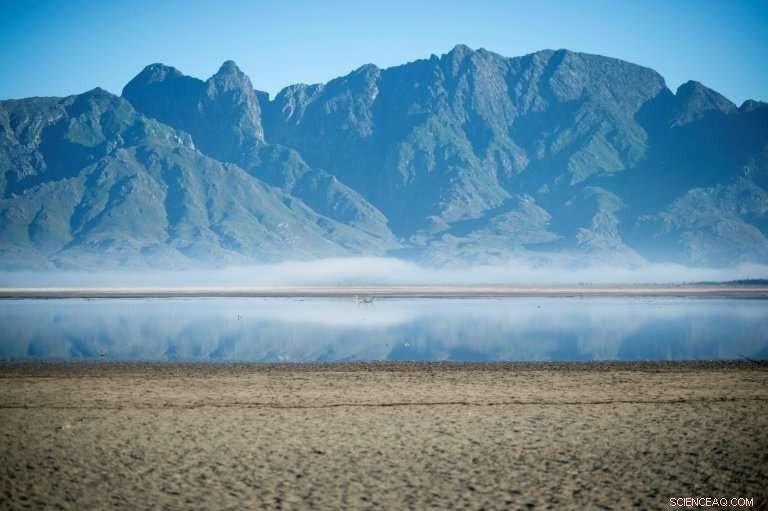 Study Urges Cape Town to Remove Non‑Native Trees to Combat Drought