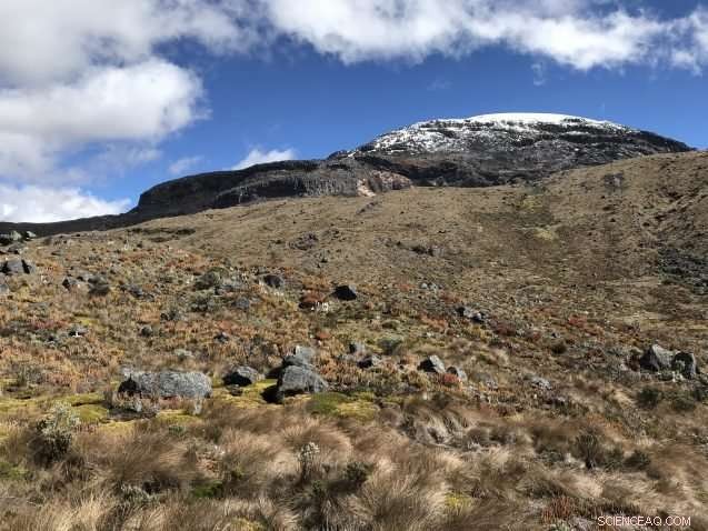 Rapid Warming of a Rare Andean Ecosystem Matches Arctic Pace