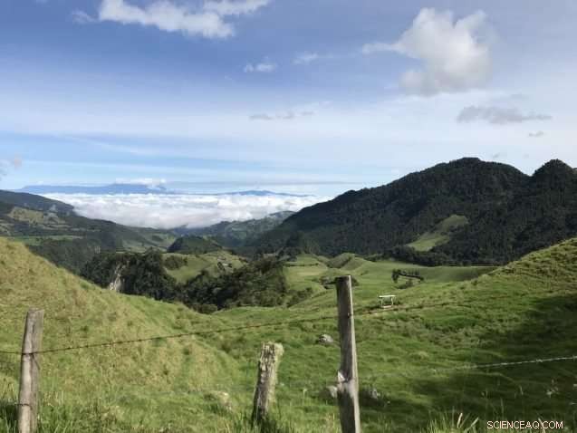 Rapid Warming of a Rare Andean Ecosystem Matches Arctic Pace