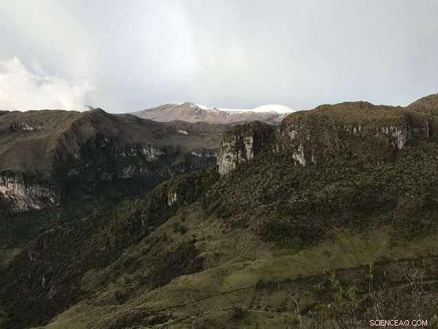 Rapid Warming of a Rare Andean Ecosystem Matches Arctic Pace