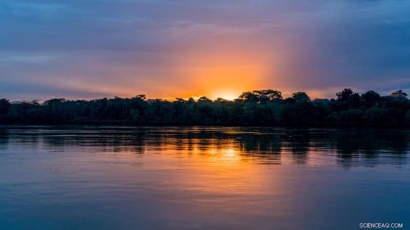 Amazon s Hidden Crisis: Rising Mercury Poisoning Threatens Ecosystems and Communities