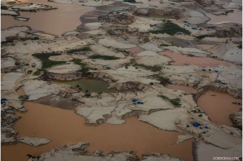 Amazon s Hidden Crisis: Rising Mercury Poisoning Threatens Ecosystems and Communities