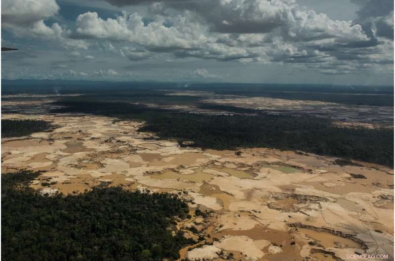 Amazon s Hidden Crisis: Rising Mercury Poisoning Threatens Ecosystems and Communities