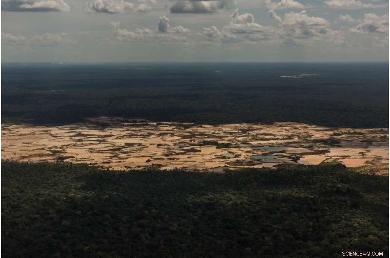 Amazon s Hidden Crisis: Rising Mercury Poisoning Threatens Ecosystems and Communities