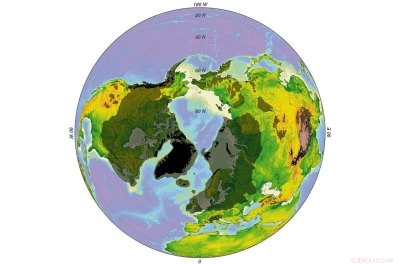 True Polar Wander Could Explain the Onset of Earth s Ice Age