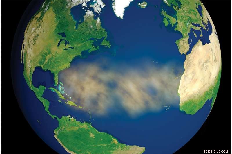 What Persistent Algae Blooms Reveal About Earth s Health