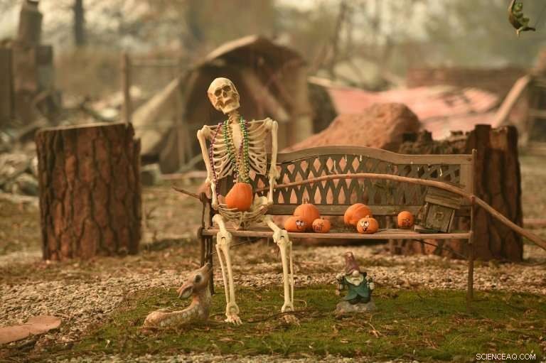 Reporting the Devastating Camp Fire in California s Lost Paradise