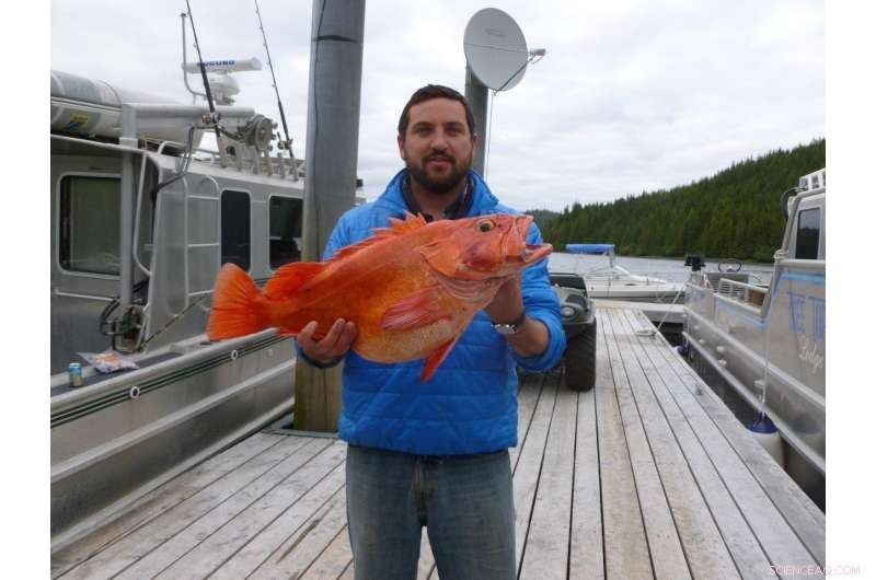 Fish Detoxify Mercury, but Their Capacity Is Limited