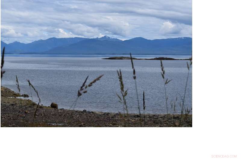 Fish Detoxify Mercury, but Their Capacity Is Limited