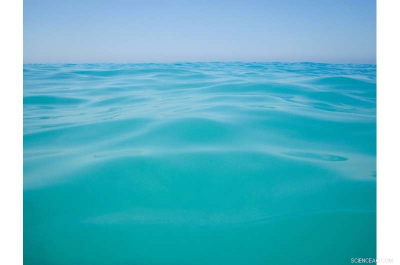 Scientists Find CO₂‑Consuming Bacteria in Deep-Sea Mining Zones