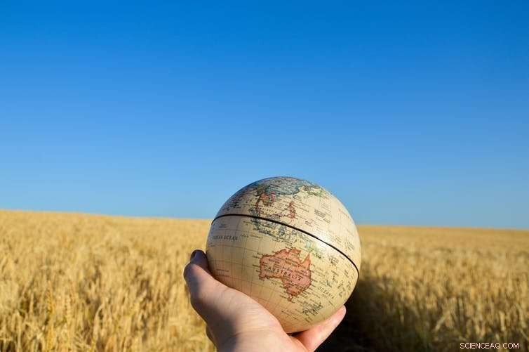 The Future of Farming: Essential Insights for Sustainable Agriculture