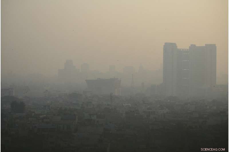 Surviving in a World of Air Pollution: Strategies and Insights