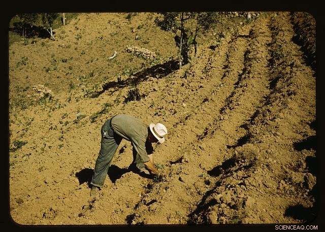 Researchers Discover Simple Method to Significantly Enhance Crop Loss Simulations