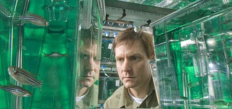 New Gene Discovery in Zebrafish Offers Insight into Human Chemical Exposure Risks