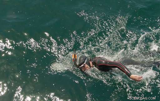 French-American Swimmer Abandons Pacific Ocean Crossing After Storm