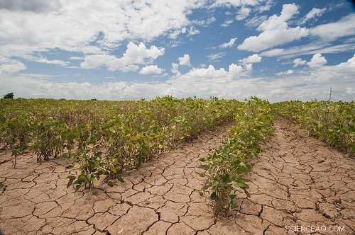 Rising Extreme Heat Events: Summer and Winter Trends Across the U.S. and Canada