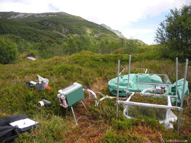 Arctic Brownening from Weather Anomalies Threatens Climate Stability